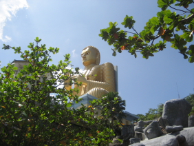 Дамбулла. Самая большая золотая статуя Будды в мире.