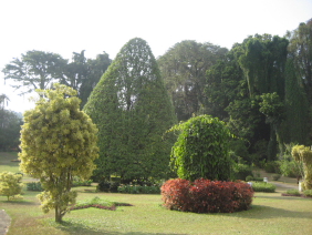 Ботанический сад Шри Ланки, где есть деревья, посаженные Николаем II и Юрием Гагариным.